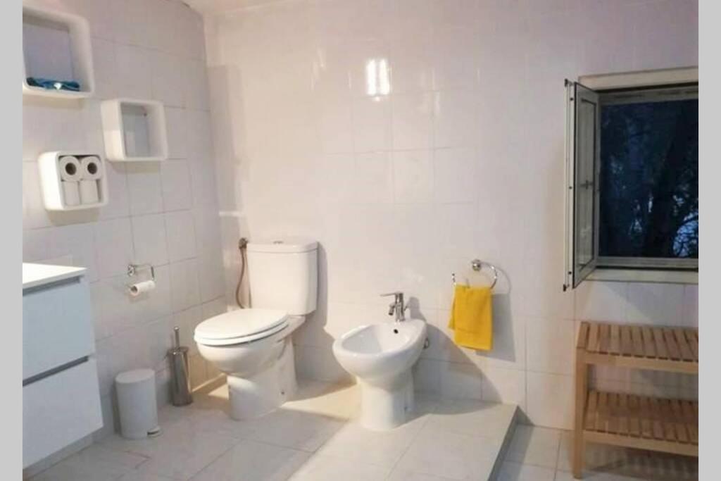 Big Relax Apartment With Swimming Pool And A Peaceful Garden In A Private Villa Sestu Eksteriør billede