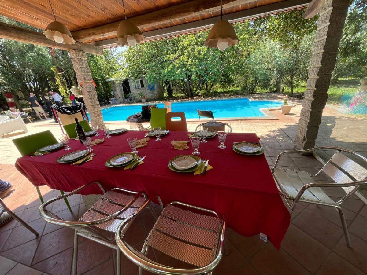 Big Relax Apartment With Swimming Pool And A Peaceful Garden In A Private Villa Sestu Eksteriør billede